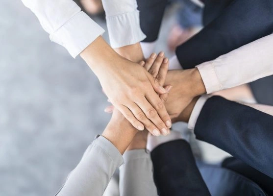 Press Release: Mekitec & Grupo Bimbo Announcement