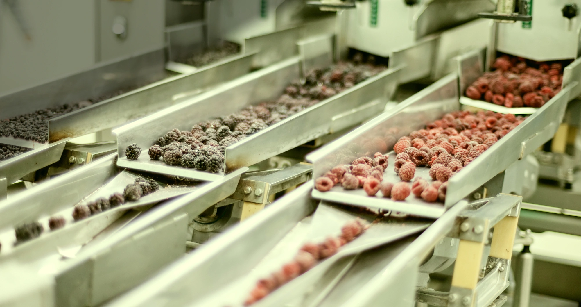 Frozen Food Products X-Ray Inspection