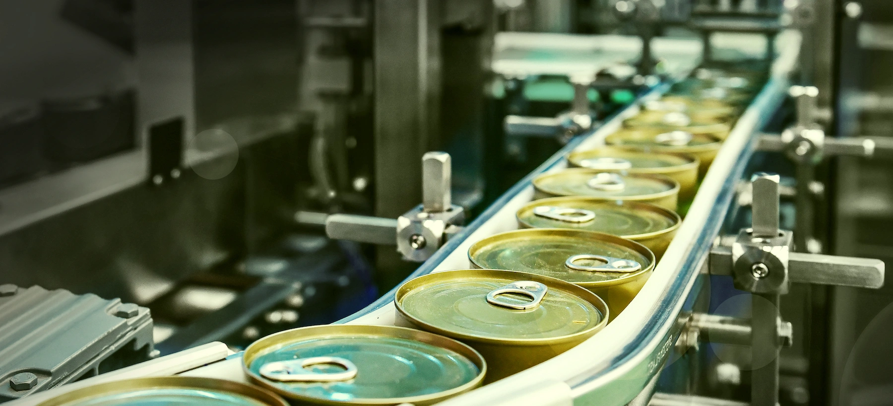 Pet Food X-Ray Inspection